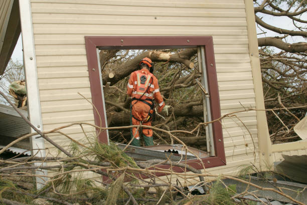 Professional Tree Services in Wylie, TX