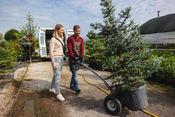 Best Tree and Shrub Care  in Wylie, TX